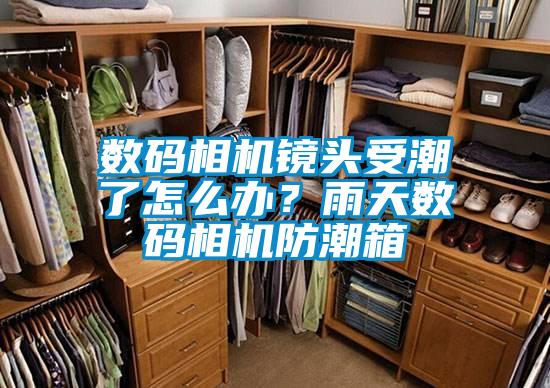 數(shù)碼相機(jī)鏡頭受潮了怎么辦？雨天數(shù)碼相機(jī)防潮箱