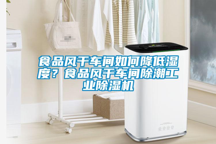 食品風(fēng)干車間如何降低濕度？食品風(fēng)干車間除潮工業(yè)除濕機