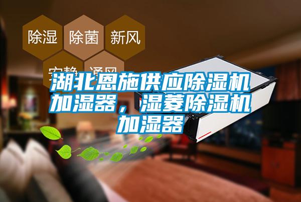 湖北恩施供應(yīng)除濕機(jī)加濕器，濕菱除濕機(jī)加濕器