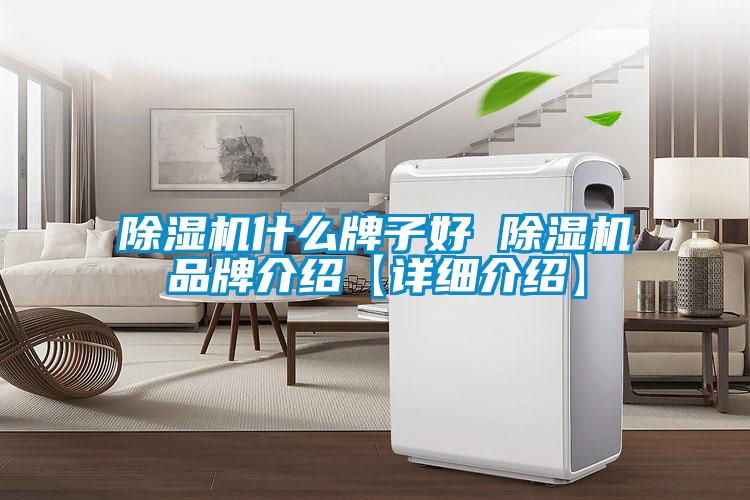 除濕機什么牌子好 除濕機品牌介紹【詳細(xì)介紹】