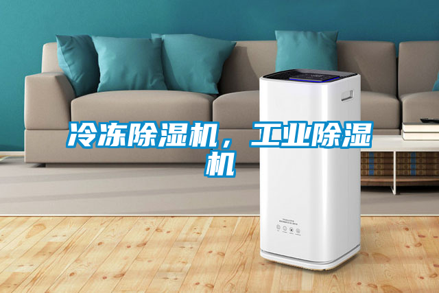 冷凍除濕機(jī)，工業(yè)除濕機(jī)