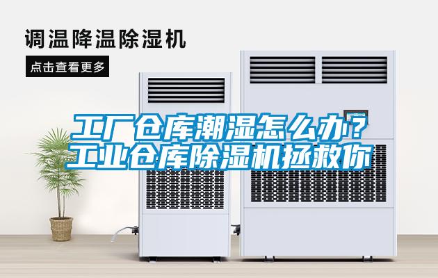 工廠倉庫潮濕怎么辦？工業(yè)倉庫除濕機(jī)拯救你
