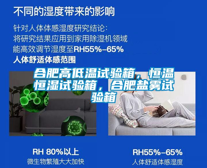 合肥高低溫試驗(yàn)箱，恒溫恒濕試驗(yàn)箱，合肥鹽霧試驗(yàn)箱