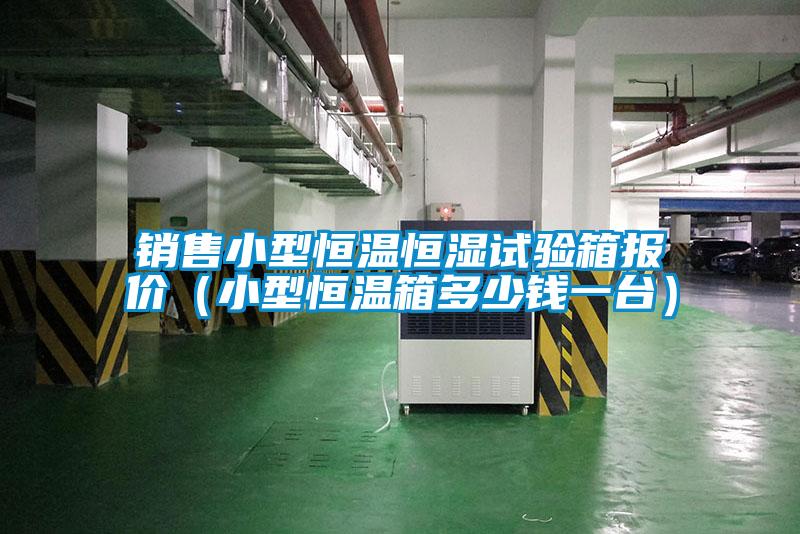 銷售小型恒溫恒濕試驗(yàn)箱報(bào)價（小型恒溫箱多少錢一臺）