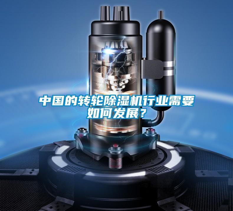 中國的轉(zhuǎn)輪除濕機行業(yè)需要如何發(fā)展？