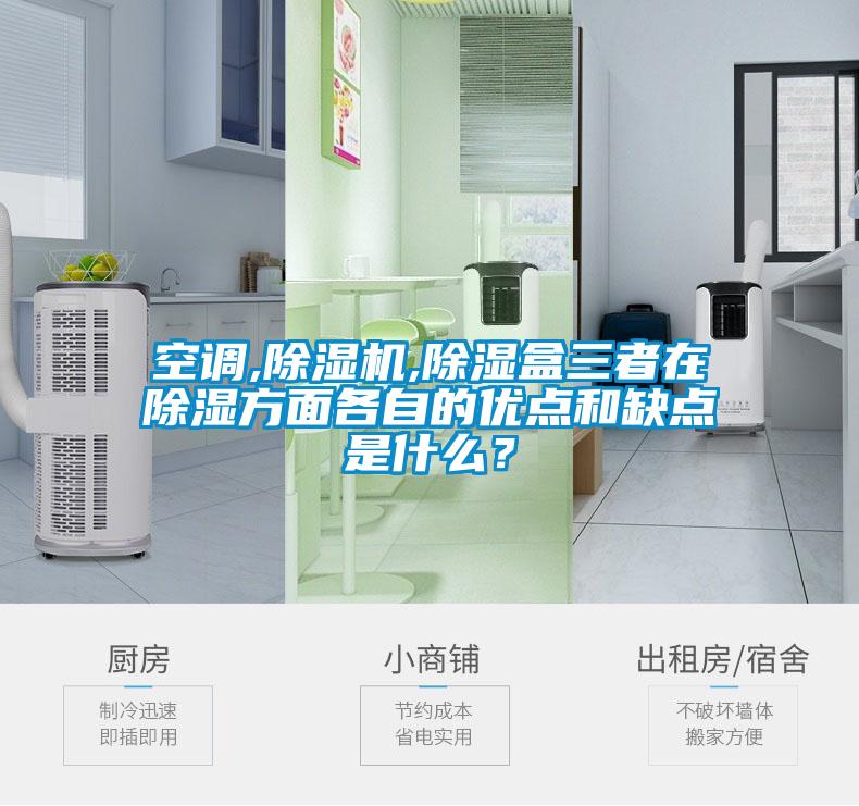 空調,除濕機,除濕盒三者在除濕方面各自的優(yōu)點和缺點是什么？
