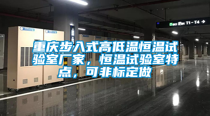 重慶步入式高低溫恒溫試驗室廠家，恒溫試驗室特點，可非標(biāo)定做