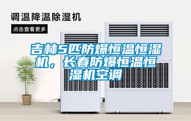 吉林5匹防爆恒溫恒濕機(jī)，長(zhǎng)春防爆恒溫恒濕機(jī)空調(diào)