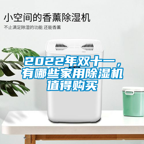 2022年雙十一，有哪些家用除濕機(jī)值得購買