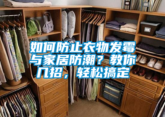 如何防止衣物發(fā)霉與家居防潮？教你幾招，輕松搞定