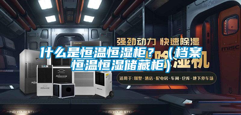 什么是恒溫恒濕柜？（檔案恒溫恒濕儲(chǔ)藏柜）