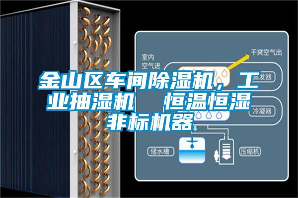 金山區(qū)車間除濕機(jī)，工業(yè)抽濕機(jī)  恒溫恒濕非標(biāo)機(jī)器