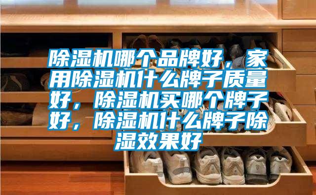除濕機(jī)哪個(gè)品牌好，家用除濕機(jī)什么牌子質(zhì)量好，除濕機(jī)買(mǎi)哪個(gè)牌子好，除濕機(jī)什么牌子除濕效果好