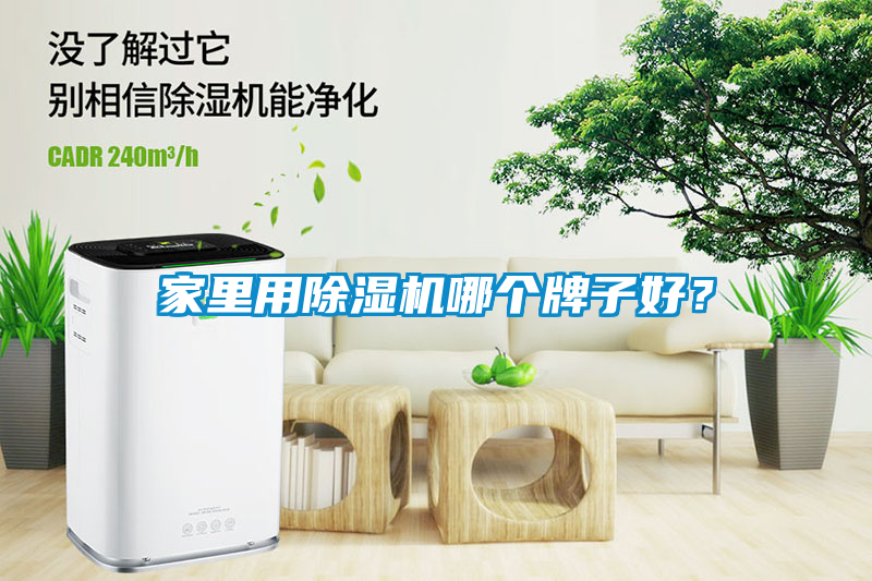 家里用除濕機(jī)哪個(gè)牌子好？