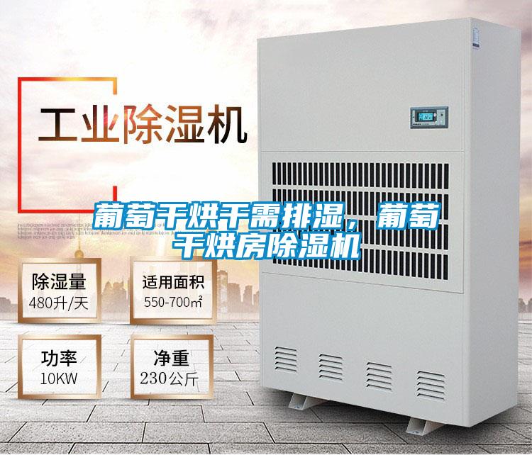 葡萄干烘干需排濕，葡萄干烘房除濕機