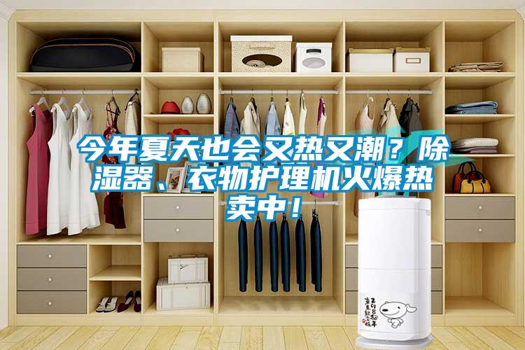 今年夏天也會又熱又潮？除濕器、衣物護理機火爆熱賣中！
