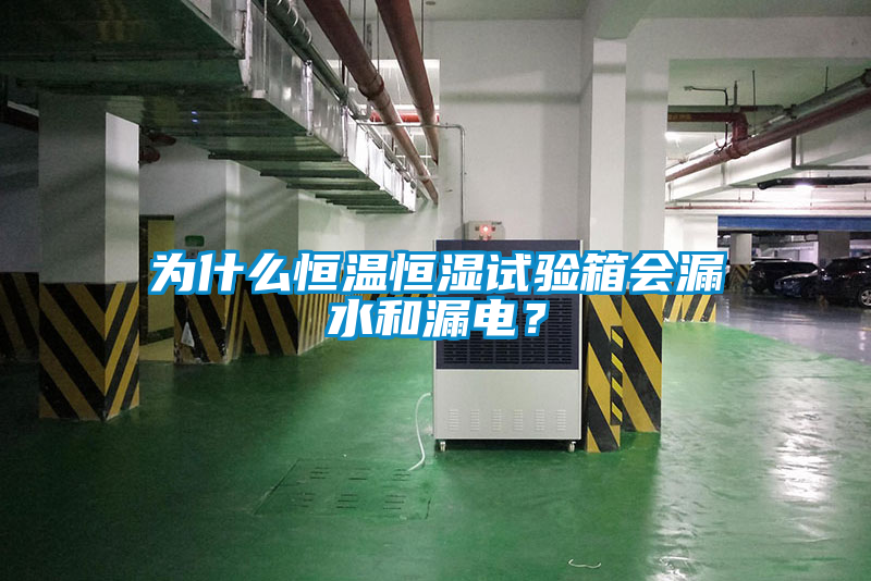 為什么恒溫恒濕試驗箱會漏水和漏電？