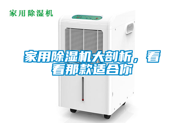 家用除濕機(jī)大剖析，看看那款適合你
