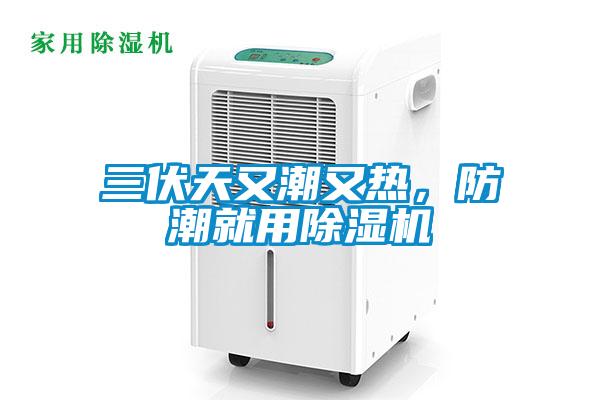 三伏天又潮又熱，防潮就用除濕機(jī)