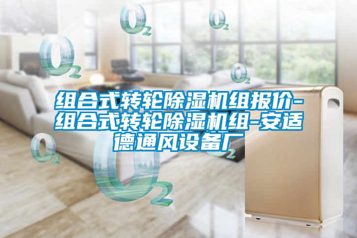 組合式轉(zhuǎn)輪除濕機組報價-組合式轉(zhuǎn)輪除濕機組-安適德通風設(shè)備廠
