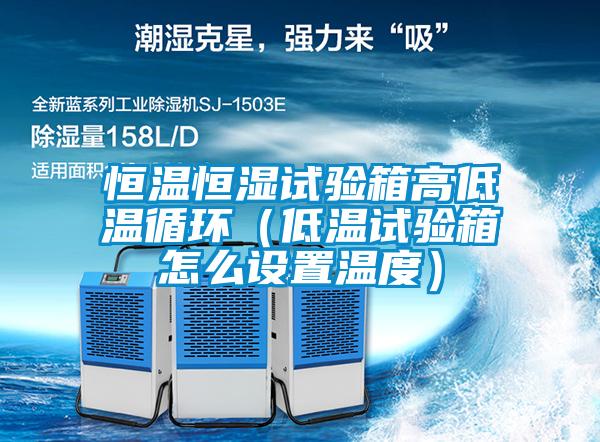 恒溫恒濕試驗箱高低溫循環(huán)（低溫試驗箱怎么設(shè)置溫度）