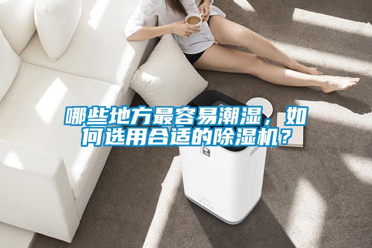 哪些地方最容易潮濕，如何選用合適的除濕機(jī)？