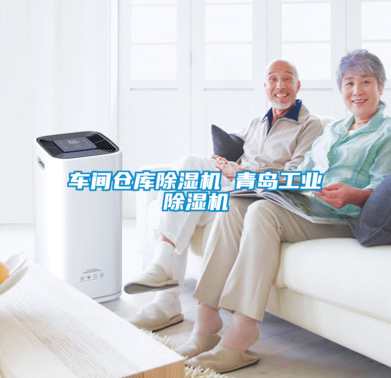 車(chē)間倉(cāng)庫(kù)除濕機(jī) 青島工業(yè)除濕機(jī)