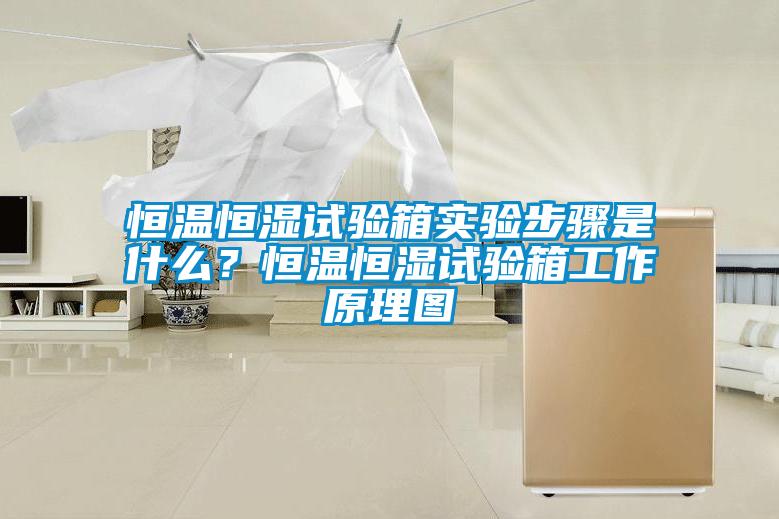恒溫恒濕試驗(yàn)箱實(shí)驗(yàn)步驟是什么？恒溫恒濕試驗(yàn)箱工作原理圖