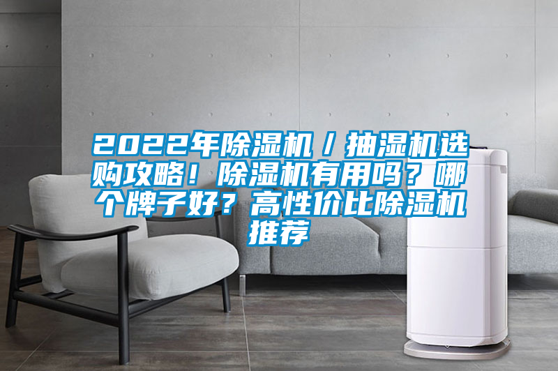 2022年除濕機(jī)／抽濕機(jī)選購攻略！除濕機(jī)有用嗎？哪個(gè)牌子好？高性價(jià)比除濕機(jī)推薦