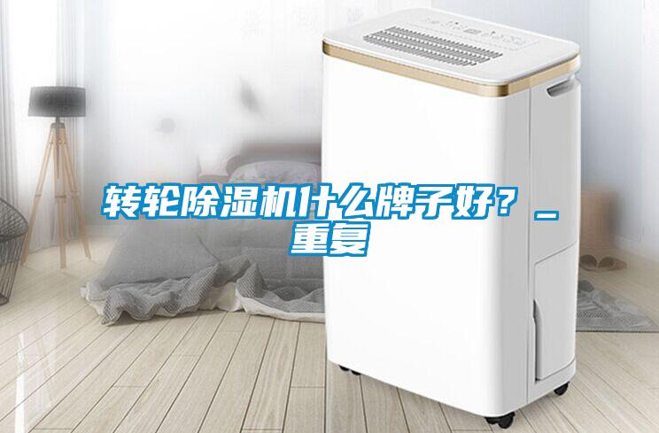 轉(zhuǎn)輪除濕機(jī)什么牌子好？_重復(fù)