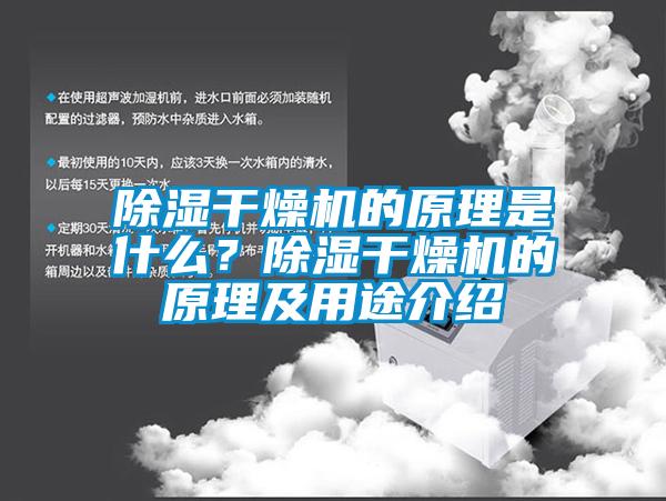 除濕干燥機(jī)的原理是什么？除濕干燥機(jī)的原理及用途介紹