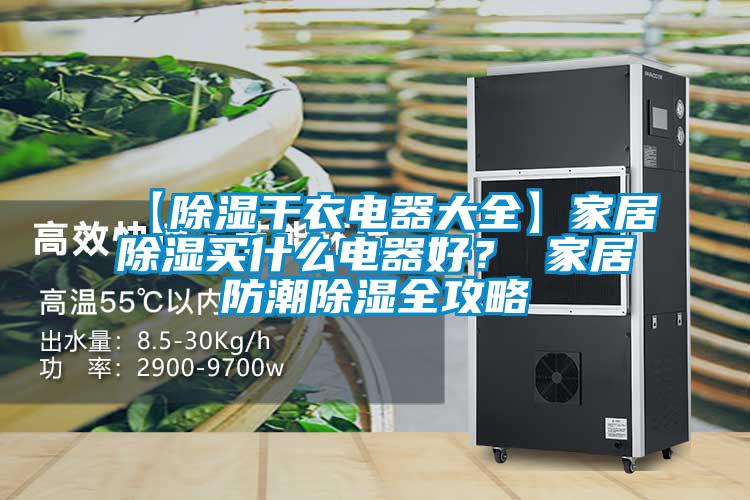 【除濕干衣電器大全】家居除濕買什么電器好？ 家居防潮除濕全攻略