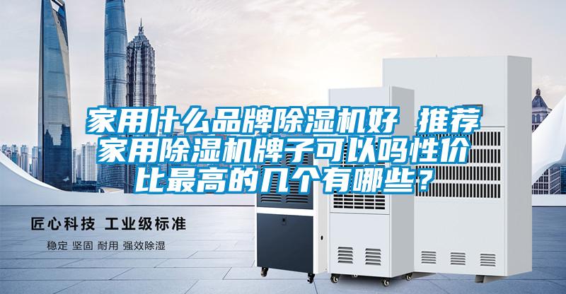 家用什么品牌除濕機好 推薦家用除濕機牌子可以嗎性價比最高的幾個有哪些？