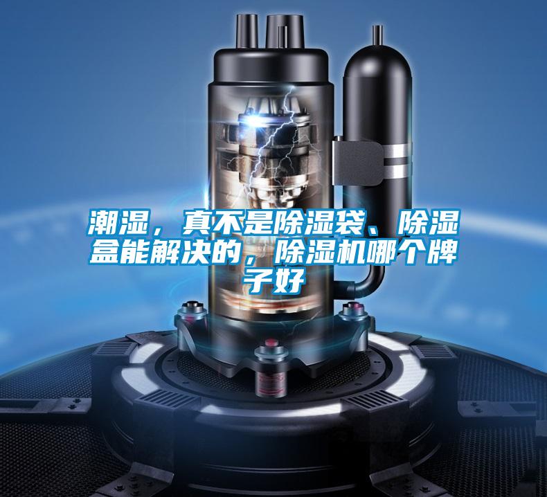 潮濕，真不是除濕袋、除濕盒能解決的，除濕機(jī)哪個(gè)牌子好