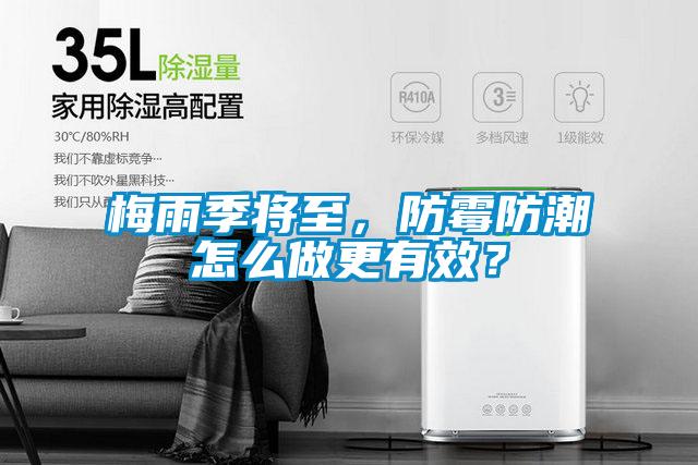 梅雨季將至，防霉防潮怎么做更有效？