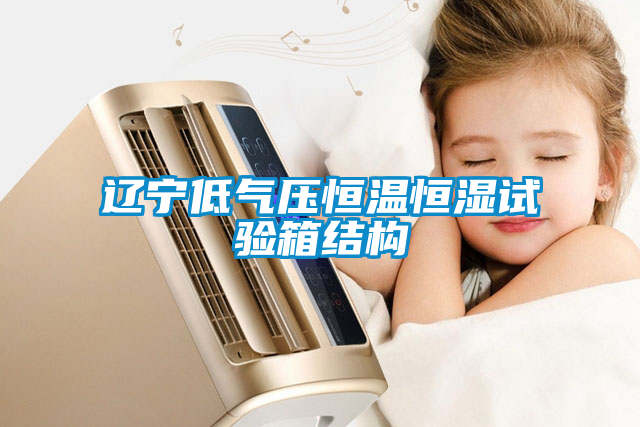 遼寧低氣壓恒溫恒濕試驗(yàn)箱結(jié)構(gòu)