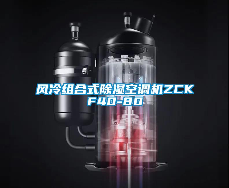 風冷組合式除濕空調(diào)機ZCKF40-80