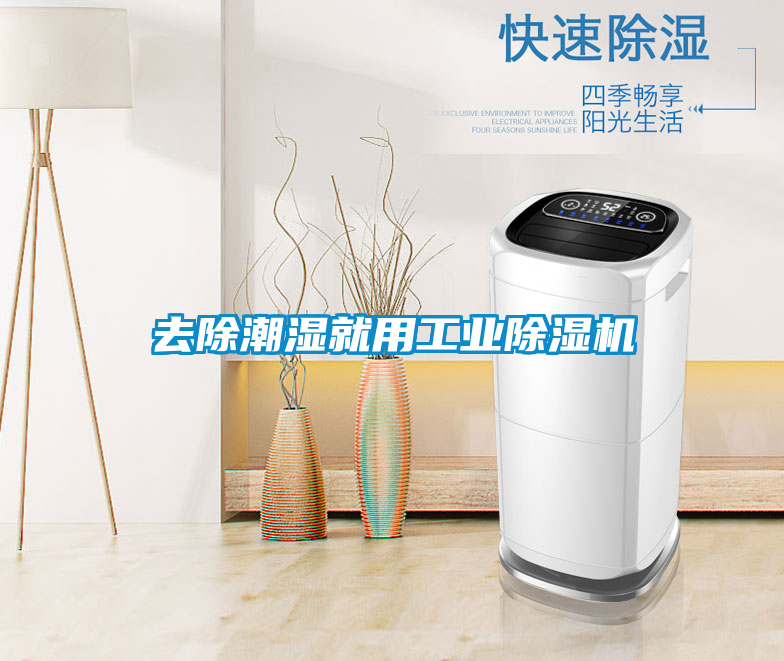 去除潮濕就用工業(yè)除濕機
