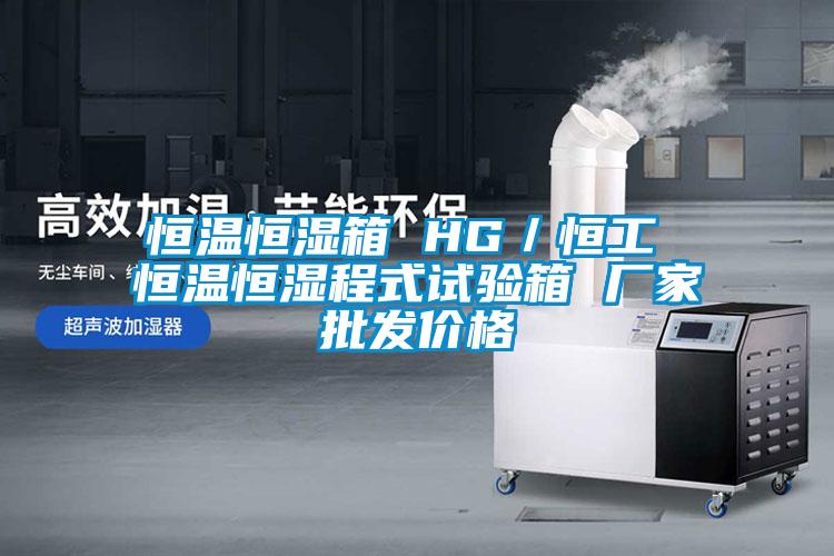 恒溫恒濕箱 HG／恒工 恒溫恒濕程式試驗(yàn)箱 廠家批發(fā)價(jià)格