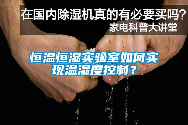 恒溫恒濕實驗室如何實現(xiàn)溫濕度控制？