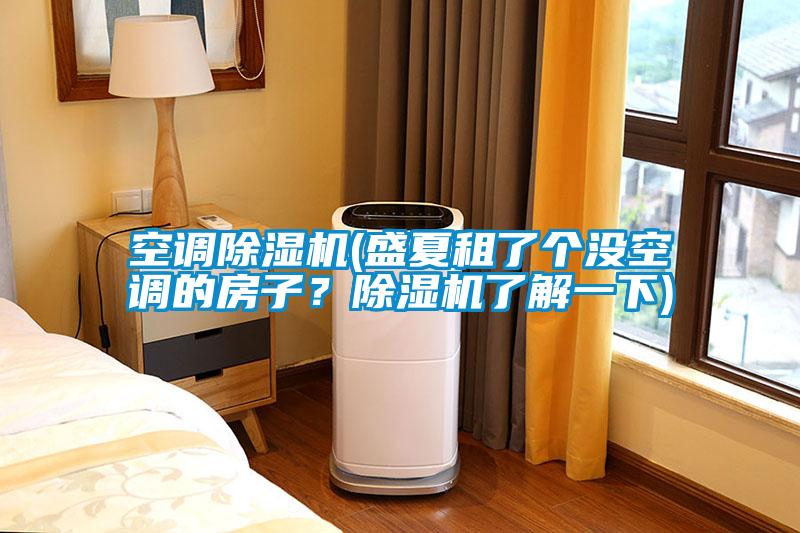 空調(diào)除濕機(jī)(盛夏租了個(gè)沒(méi)空調(diào)的房子？除濕機(jī)了解一下)