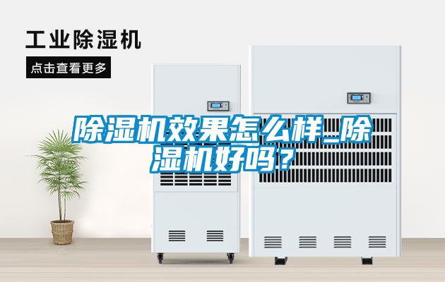 除濕機效果怎么樣_除濕機好嗎？