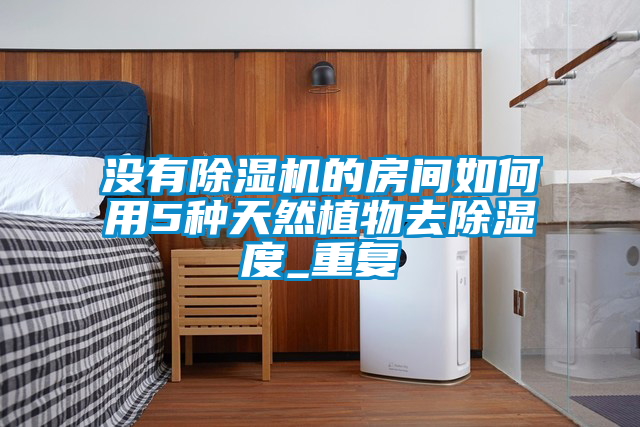 沒(méi)有除濕機(jī)的房間如何用5種天然植物去除濕度_重復(fù)