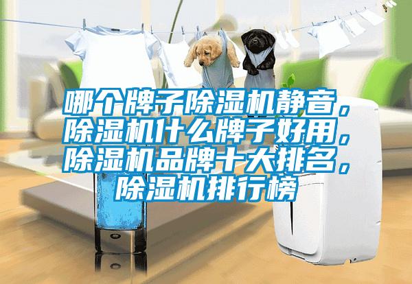 哪個牌子除濕機(jī)靜音，除濕機(jī)什么牌子好用，除濕機(jī)品牌十大排名，除濕機(jī)排行榜