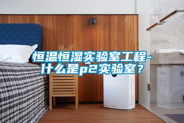 恒溫恒濕實(shí)驗(yàn)室工程-什么是p2實(shí)驗(yàn)室？