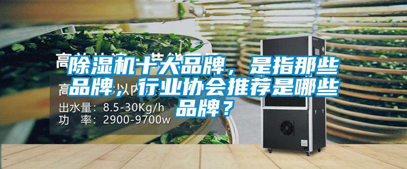 除濕機十大品牌，是指那些品牌，行業(yè)協(xié)會推薦是哪些品牌？