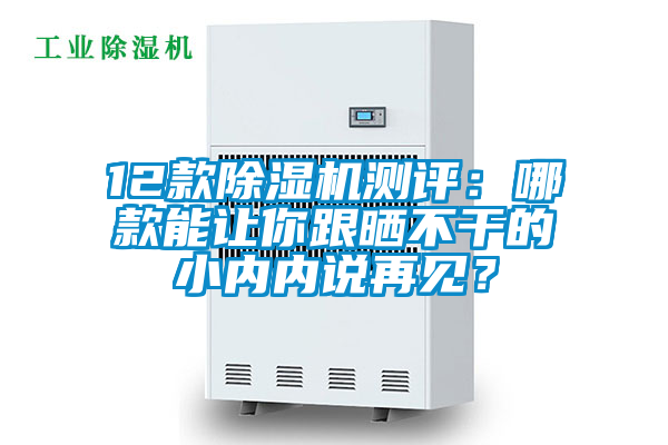 12款除濕機(jī)測評：哪款能讓你跟曬不干的小內(nèi)內(nèi)說再見？