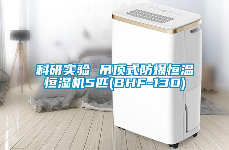 科研實驗 吊頂式防爆恒溫恒濕機(jī)5匹(BHF-13D)