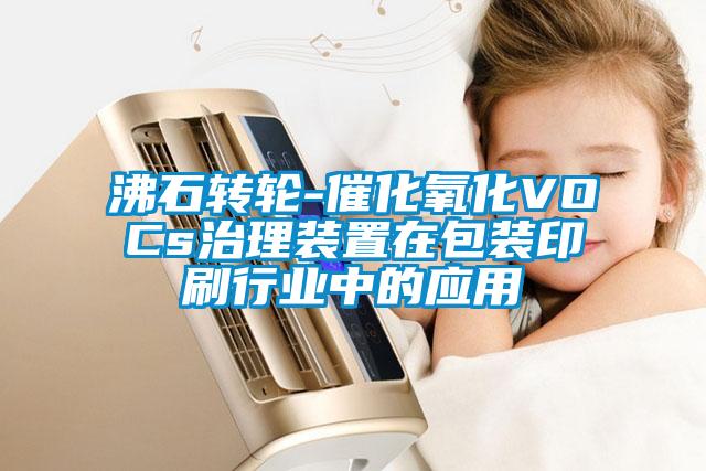 沸石轉輪-催化氧化VOCs治理裝置在包裝印刷行業(yè)中的應用