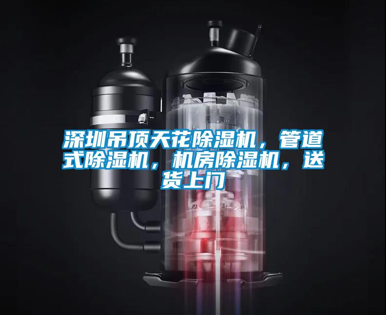 深圳吊頂天花除濕機(jī)，管道式除濕機(jī)，機(jī)房除濕機(jī)，送貨上門